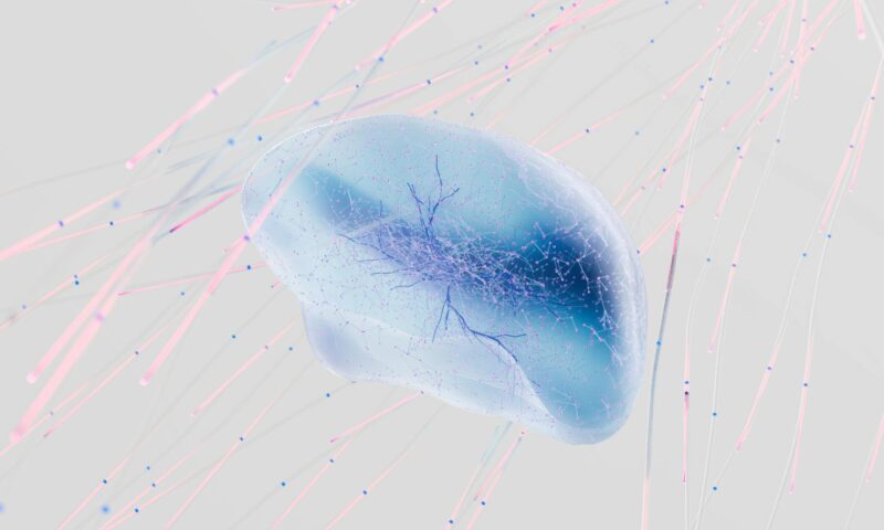 A 3D rendering of a neural network with abstract neuron connections in soft colors.