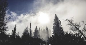 Midjourney Launches v7 API With Video-to-Image Control
