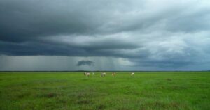 Meta Launches Llama 4 405B API With Function Calling