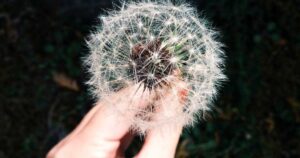 Cohere Launches Aya 3 API With 150+ Language Support