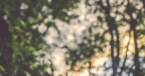 Anthropic Launches Claude 4 API With Agentic Workflows