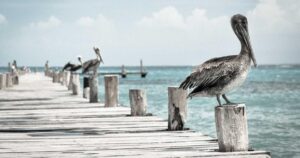 Stability AI Launches Stable Diffusion 4 API With 3D Assets
