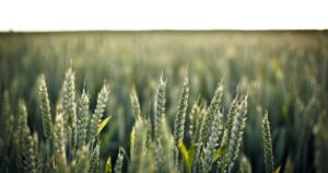 Cohere Launches Command R8 API With Enterprise RAG